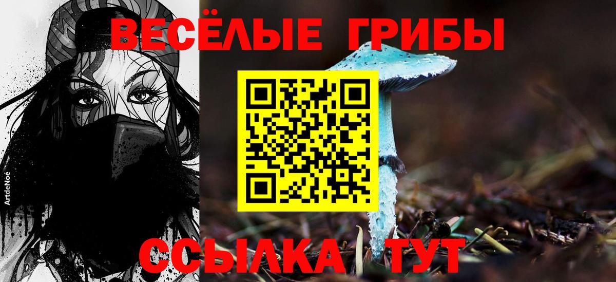 Саранск  цены   Вход с VPN  Галлюциногенные грибы ЛСД 