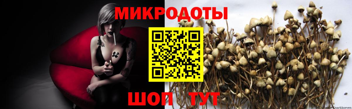 Галлюциногенные грибы MAGIC MUSHROOMS Саранск